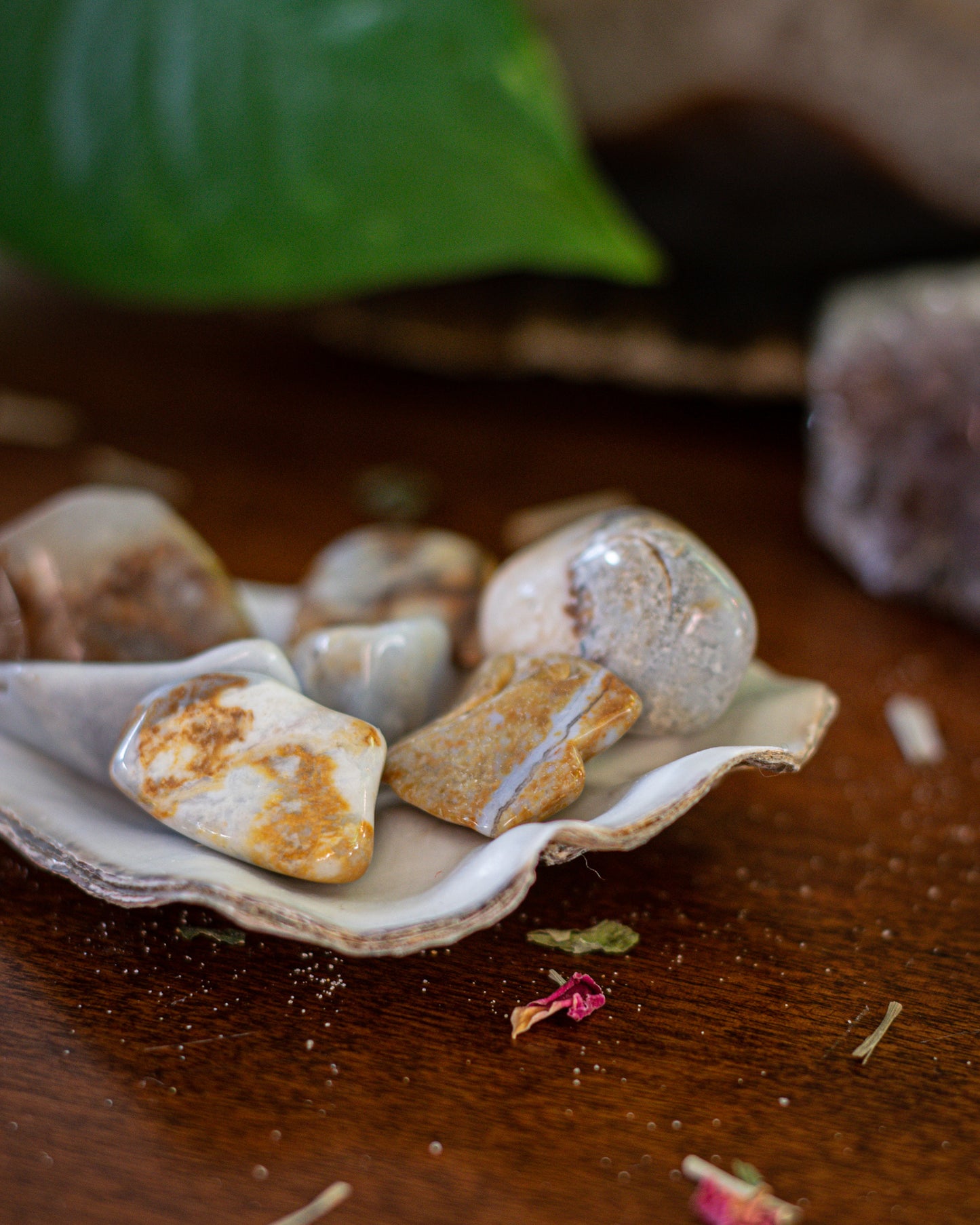 Chalcedon Trommelstein