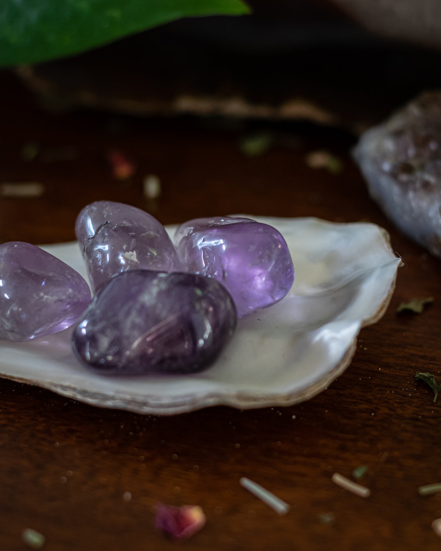 Amethyst Trommelstein