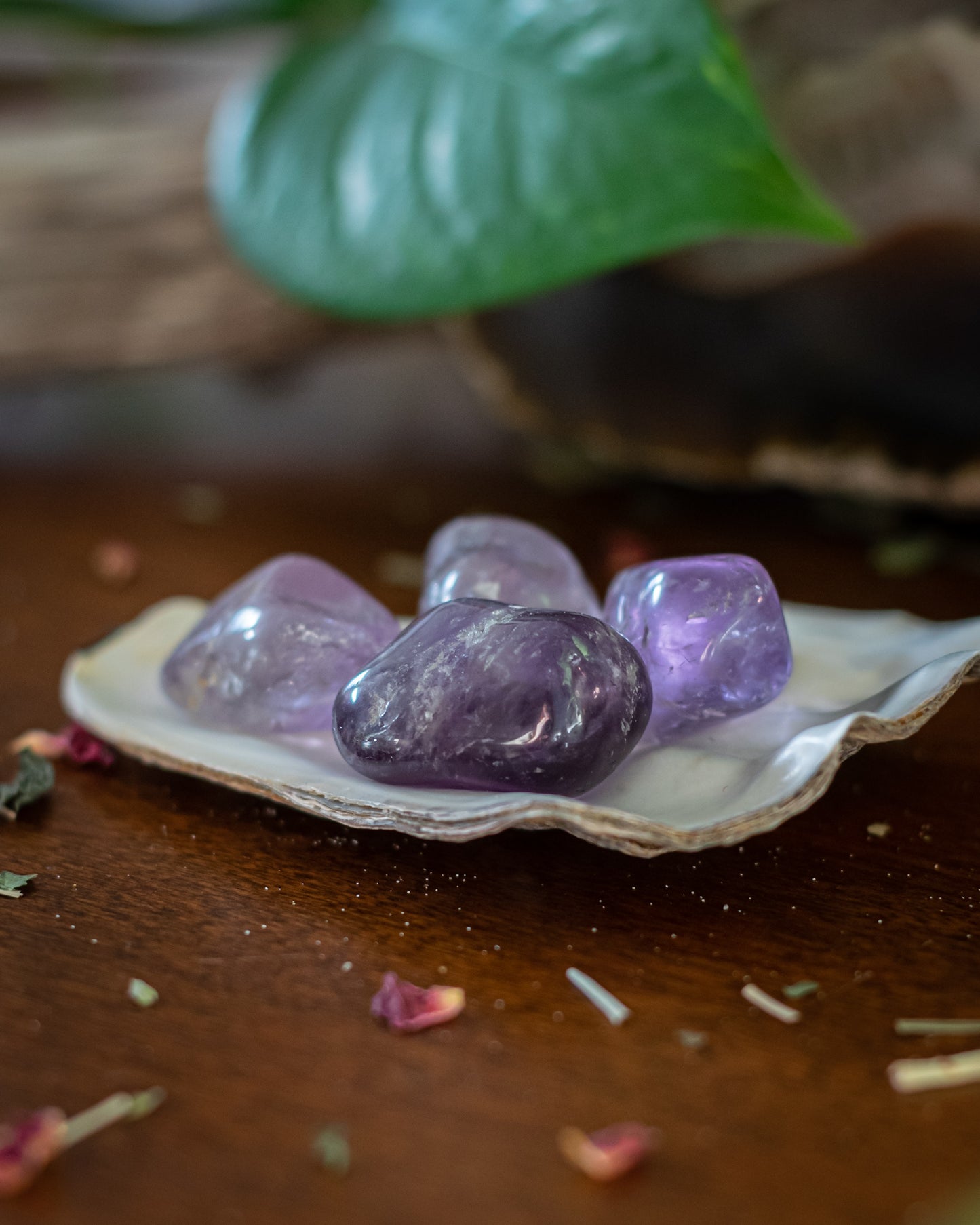 Amethyst Trommelstein