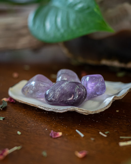 Amethyst Trommelstein