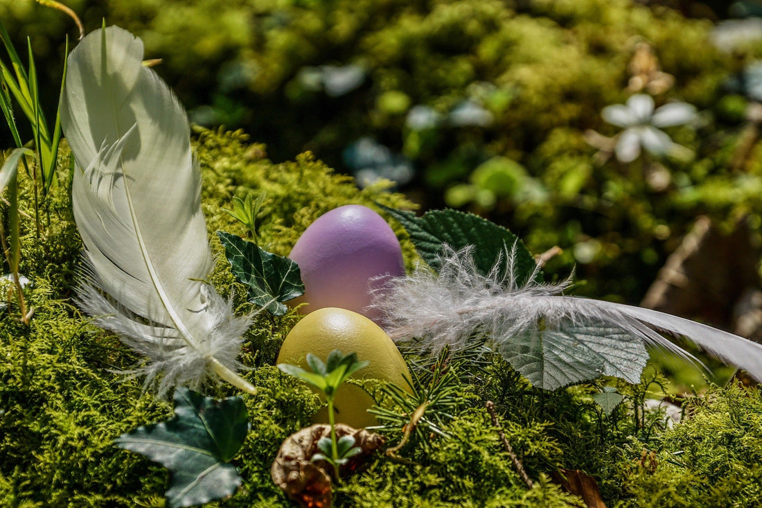 Ostara feiern: Bedeutung der Frühlings-Tagundnachtgleiche und 3 kraftvolle Rituale für den Neubeginn