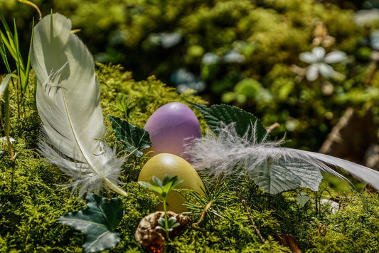 Ostara feiern: Bedeutung der Frühlings-Tagundnachtgleiche und 3 kraftvolle Rituale für den Neubeginn