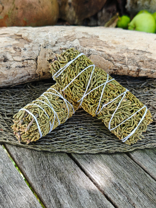Smudge-Stick Wacholder