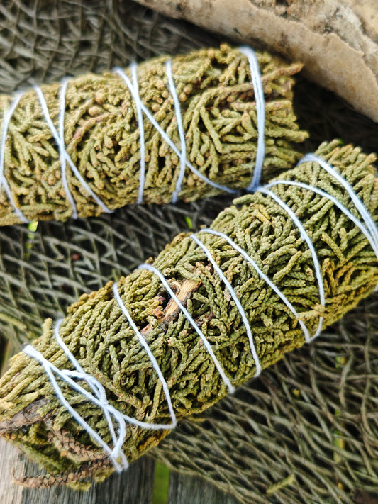 Smudge-Stick Wacholder